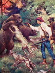 Illustration für Die Schweizer Familie Robinson